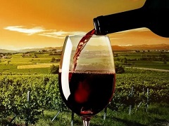 进口红酒与国产红酒怎么挑选？有什么区别？